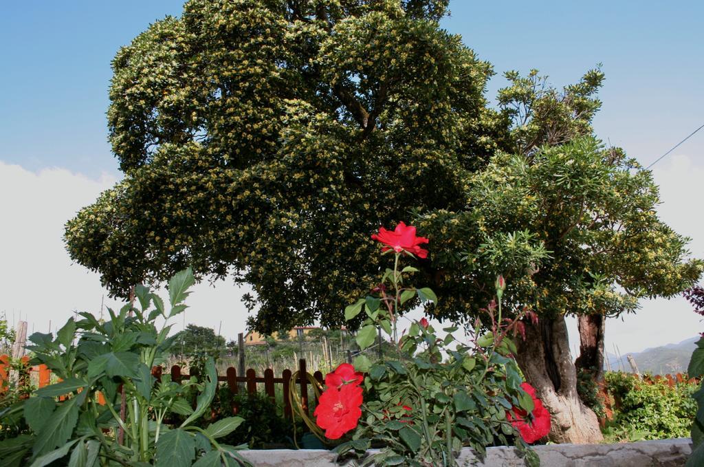 Ca De Pria Bed & Breakfast Casarza Ligure Exterior photo
