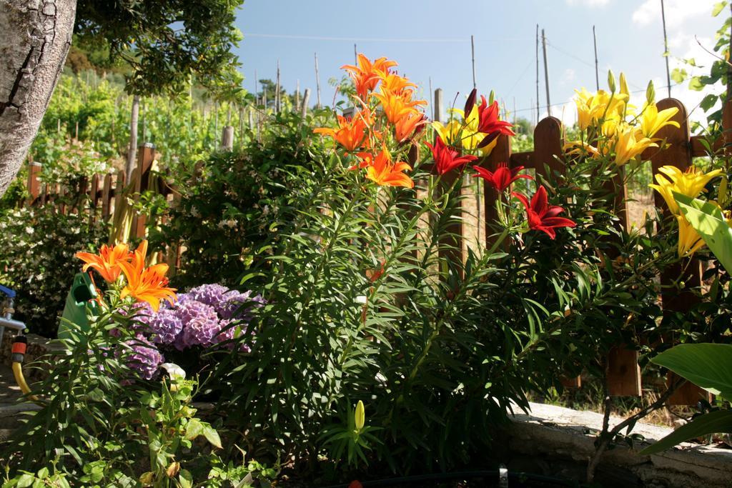 Ca De Pria Bed & Breakfast Casarza Ligure Exterior photo